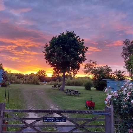 Hopgarden Glamping Luxury Shepherds Huts Wadhurst Buitenkant foto