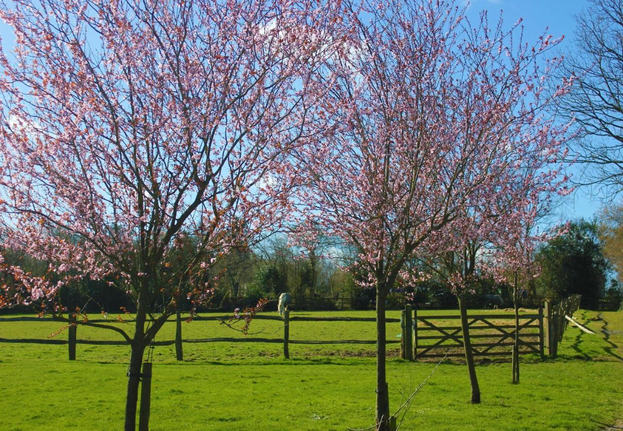 Hopgarden Glamping Luxury Shepherds Huts Wadhurst Buitenkant foto
