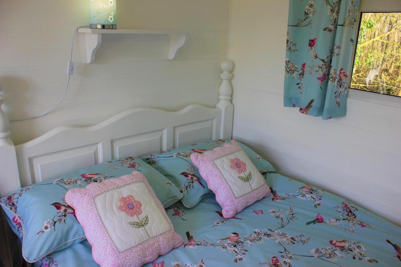 Hopgarden Glamping Luxury Shepherds Huts Wadhurst Buitenkant foto