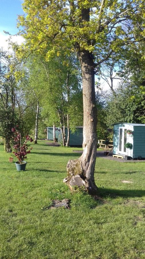 Hopgarden Glamping Luxury Shepherds Huts Wadhurst Buitenkant foto