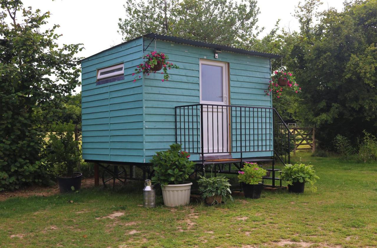 Hopgarden Glamping Luxury Shepherds Huts Wadhurst Buitenkant foto