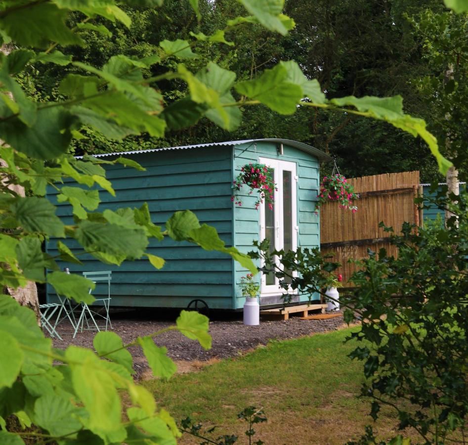Hopgarden Glamping Luxury Shepherds Huts Wadhurst Buitenkant foto
