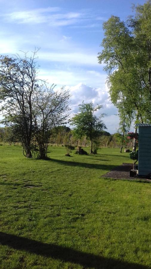Hopgarden Glamping Luxury Shepherds Huts Wadhurst Buitenkant foto