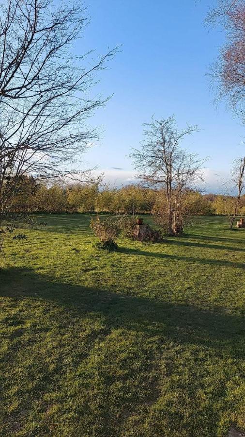 Hopgarden Glamping Luxury Shepherds Huts Wadhurst Buitenkant foto