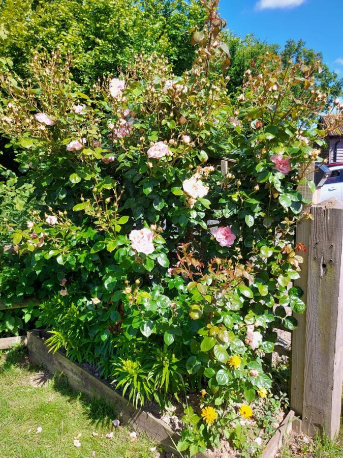 Hopgarden Glamping Luxury Shepherds Huts Wadhurst Buitenkant foto