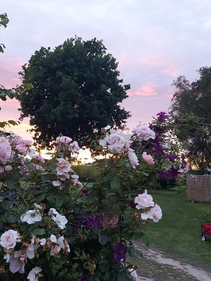 Hopgarden Glamping Luxury Shepherds Huts Wadhurst Buitenkant foto
